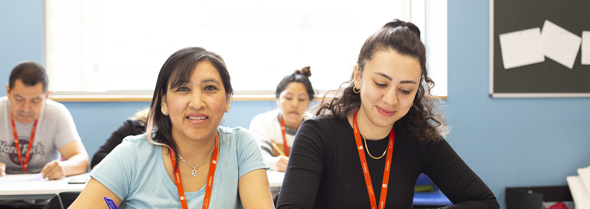 ESOL Banner